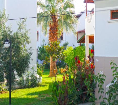 Doktorlar Sitesi