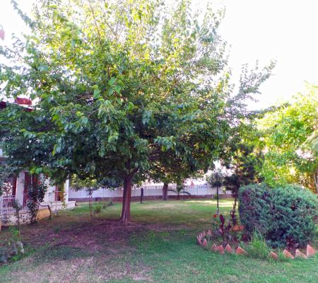 Doktorlar Sitesi